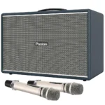 Loa Paramax PASION Mozo